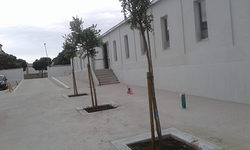 Galería de imágenes