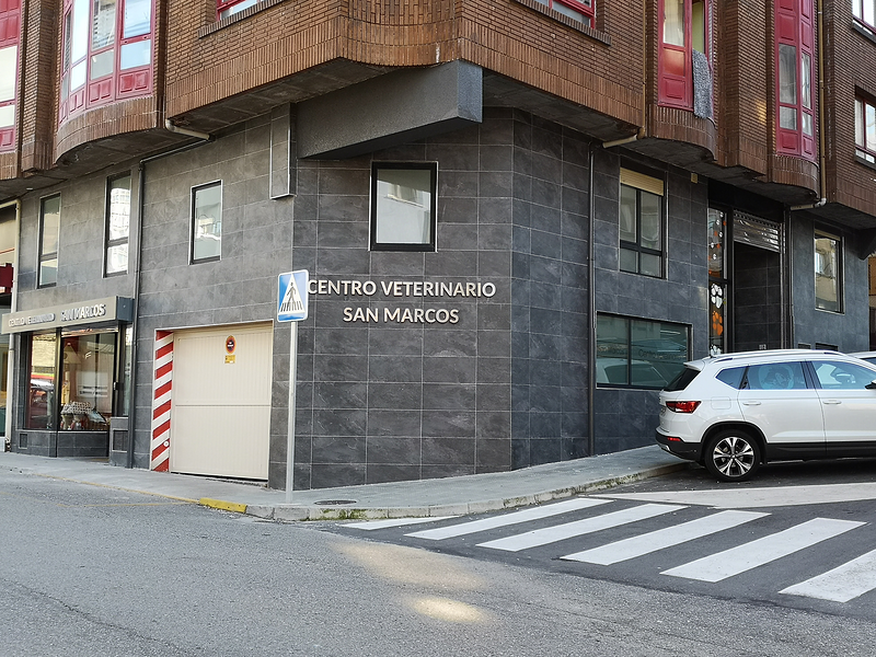 Cl&iacute;nica Veterinaria San Marcos 14