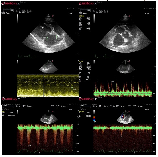 Cl&iacute;nica Veterinaria San Marcos 2