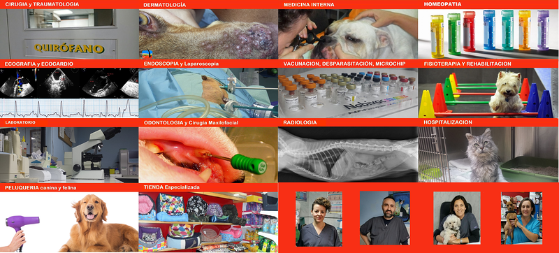 Cl&iacute;nica Veterinaria San Marcos Noia