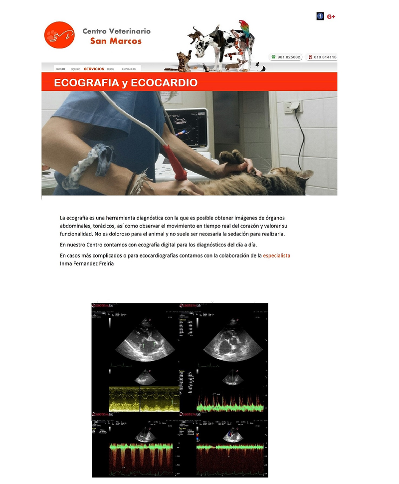 Cl&iacute;nica Veterinaria San Marcos 3