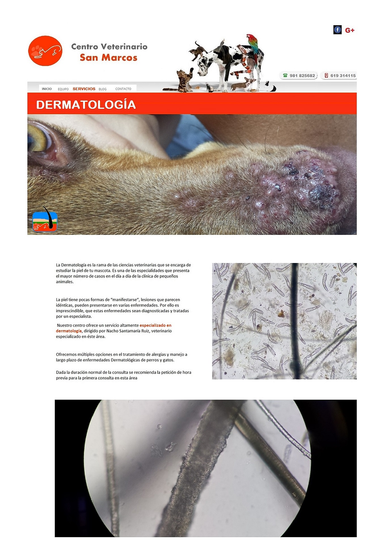 Cl&iacute;nica Veterinaria San Marcos 6