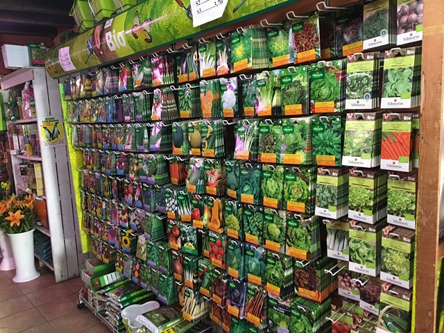 Allium Floristería Lugo