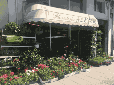 Allium Floristería FLORISTERIAS