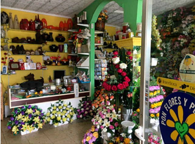 Florister&iacute;a Floresta Monterroso