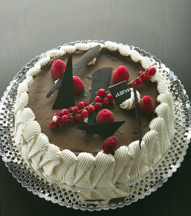 Panal&eacute;n / ALENTO 15