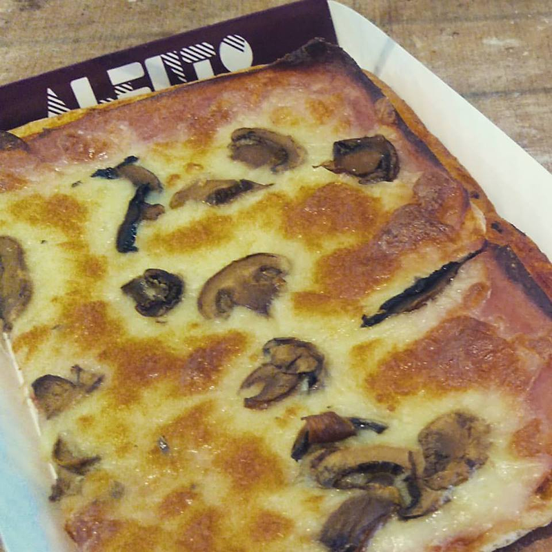 Panal&eacute;n / ALENTO 8