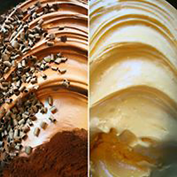 Panal&eacute;n / ALENTO 11