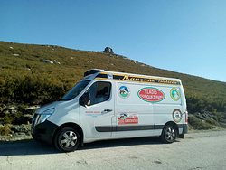 Galería de imágenes