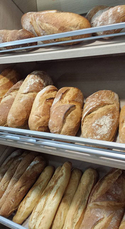 Galería de imágenes