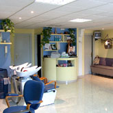 Galería de imágenes