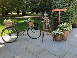 Galería de imágenes