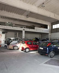 Galería de imágenes