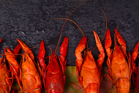 Bar Puerto Restaurante 3