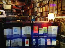 Galería de imágenes