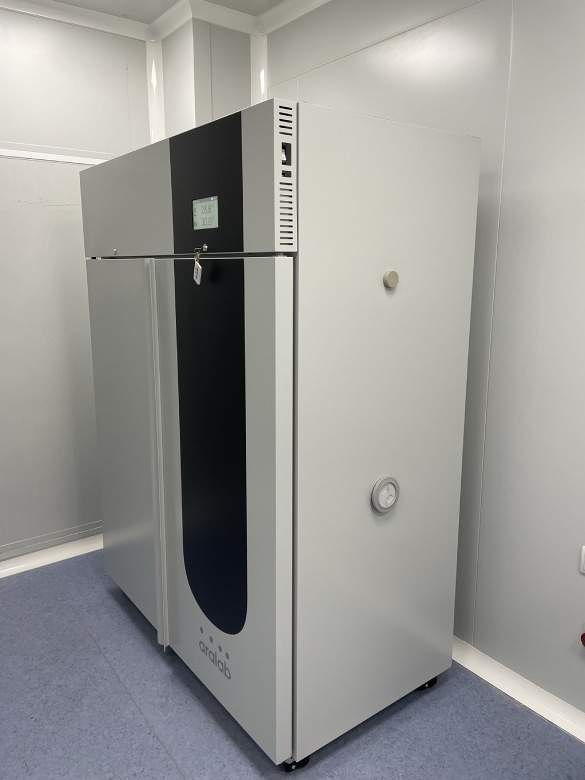 Windfred Valles S.L. 5