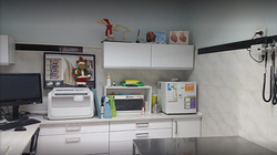 Galería de imágenes