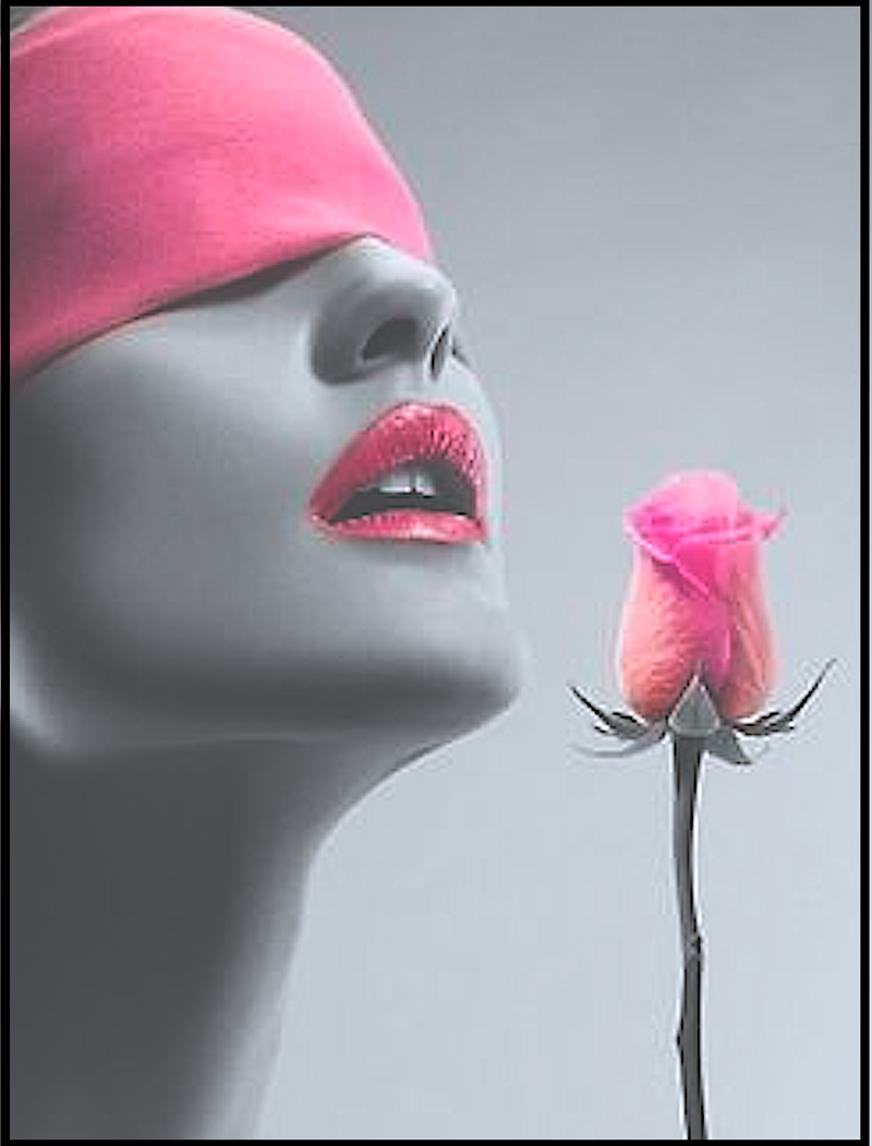 Cl&iacute;nica Vicario 31