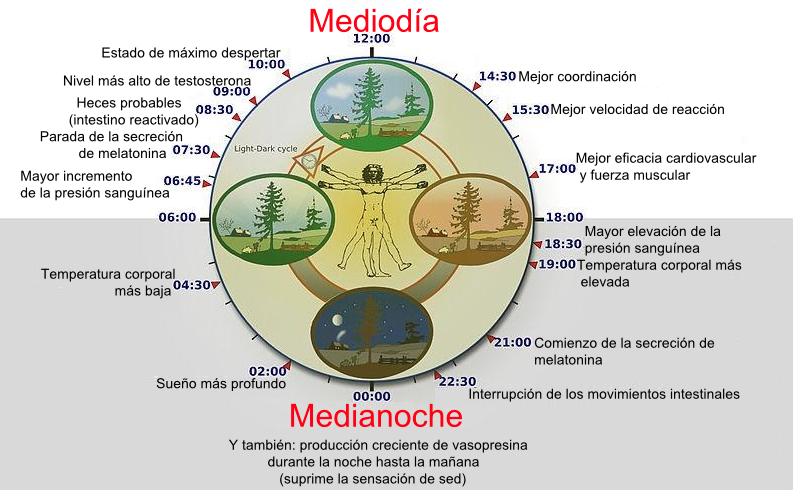 Cl&iacute;nica Vicario 29