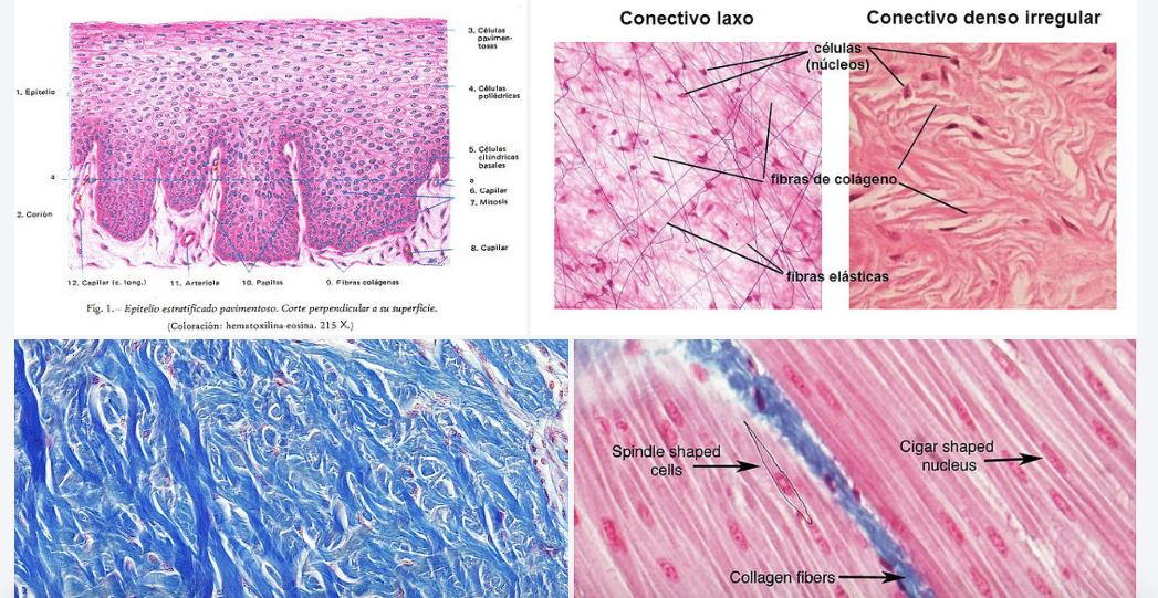 Cl&iacute;nica Vicario 19