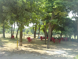 Galería de imágenes