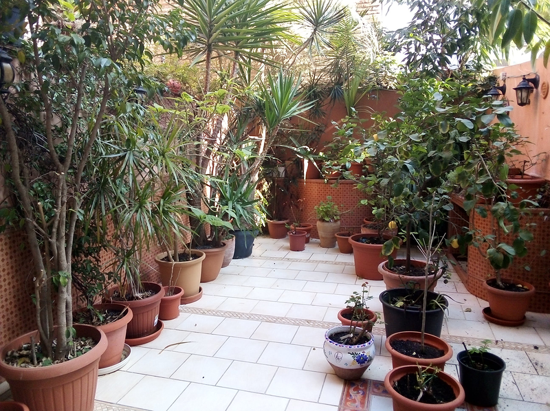 Clínica dental Josefina Arce Llupia 3