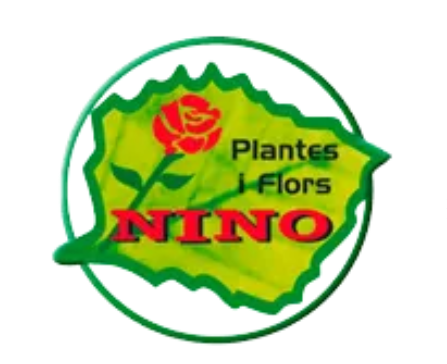 Plantes i Flors Nino