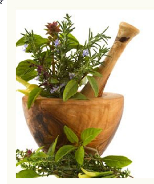 Centro de Quiromasaje Echinacea 2