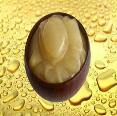 Centro de Quiromasaje Echinacea 3