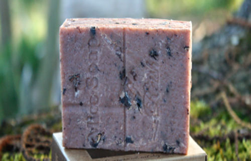 Centro de Quiromasaje Echinacea 4