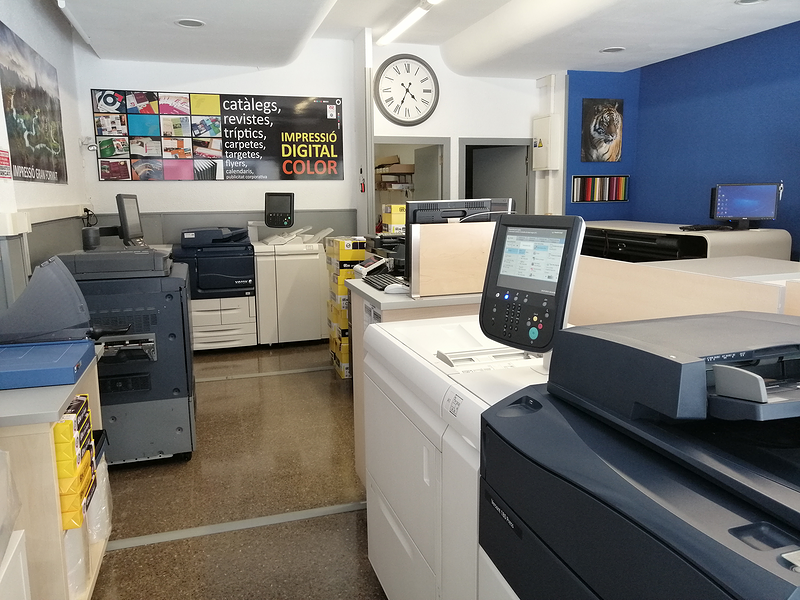 Copister&iacute;a Fust&eacute; 7