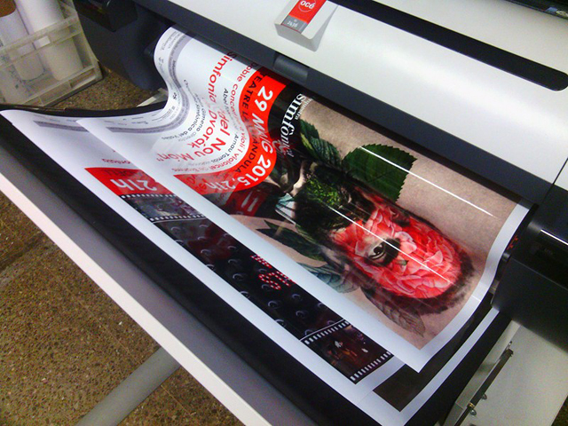 Copister&iacute;a Fust&eacute; 2