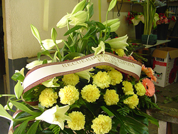 Galería de imágenes