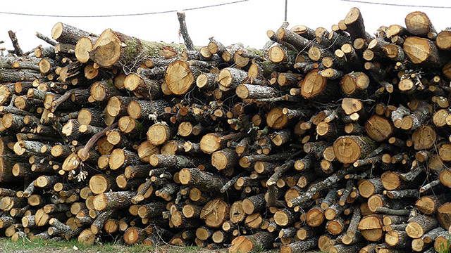 Llenyes Rissech Llagostera