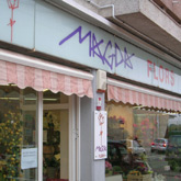Magda Floristes FLORISTERIAS Magda Floristes FLORISTERIAS