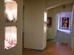 Galería de imágenes