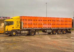 Galería de imágenes