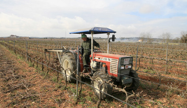 Miquel Oliver Vinyes i Bodegues 7