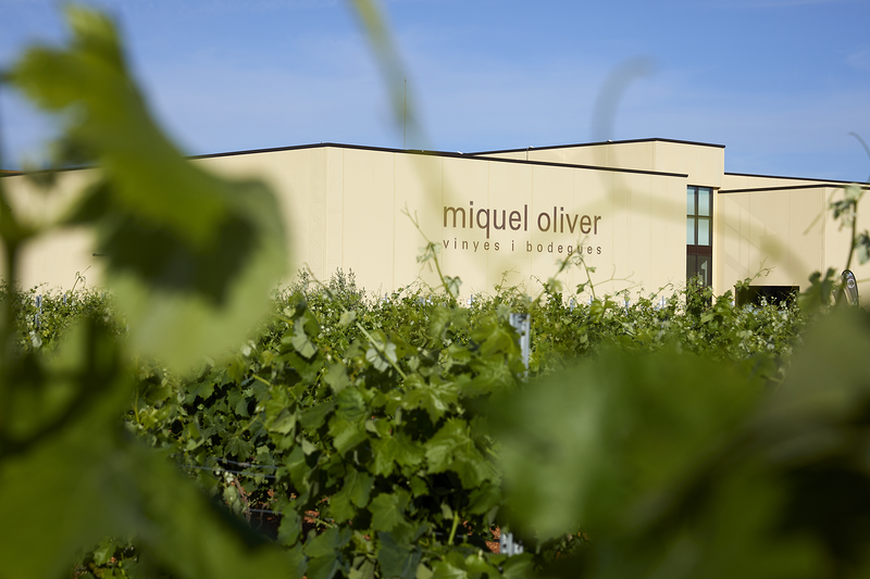 Miquel Oliver Vinyes i Bodegues Petra