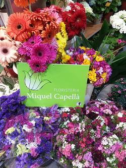 Floristería Miquel Capellà Palma Floristería Miquel Capellà Palma