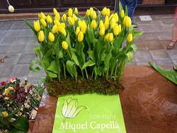 Floristería Miquel Capellà 4 Floristería Miquel Capellà 4