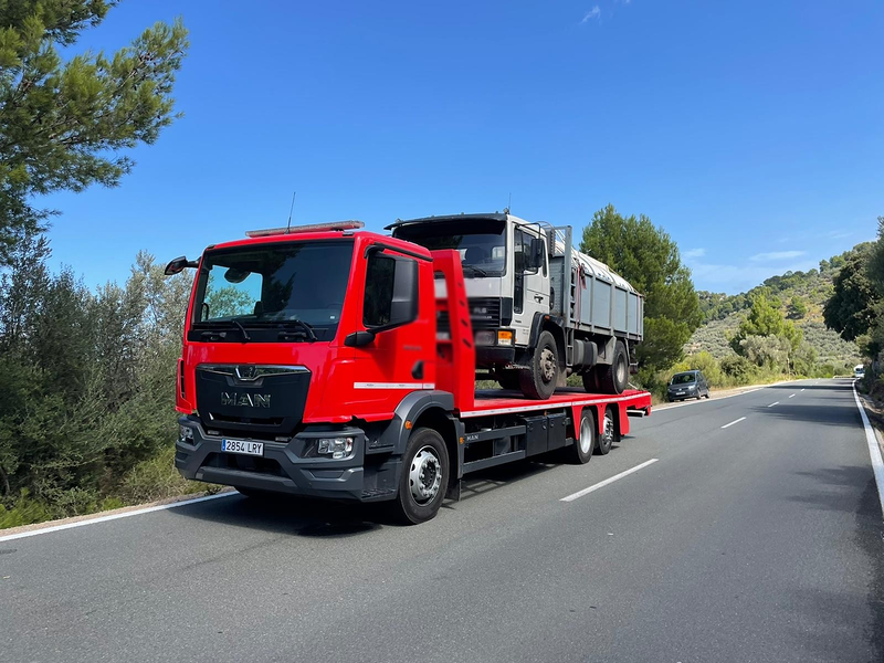 Grúas Simonet Palma 4