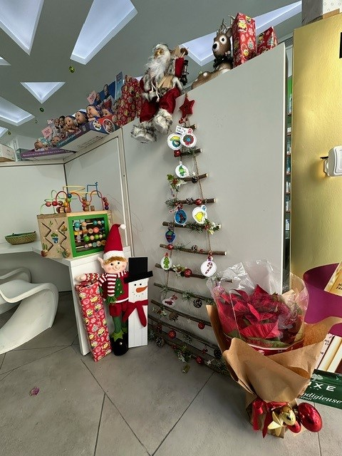 Farmacia Carre&ntilde;o Villang&oacute;mez Ibiza 4